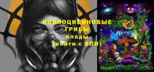 шишки Абинск