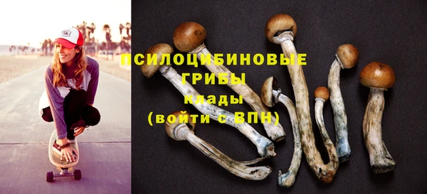 шишки Навашино