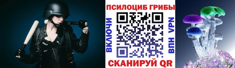 где найти наркотики  Шиханы  Галлюциногенные грибы GOLDEN TEACHER 
